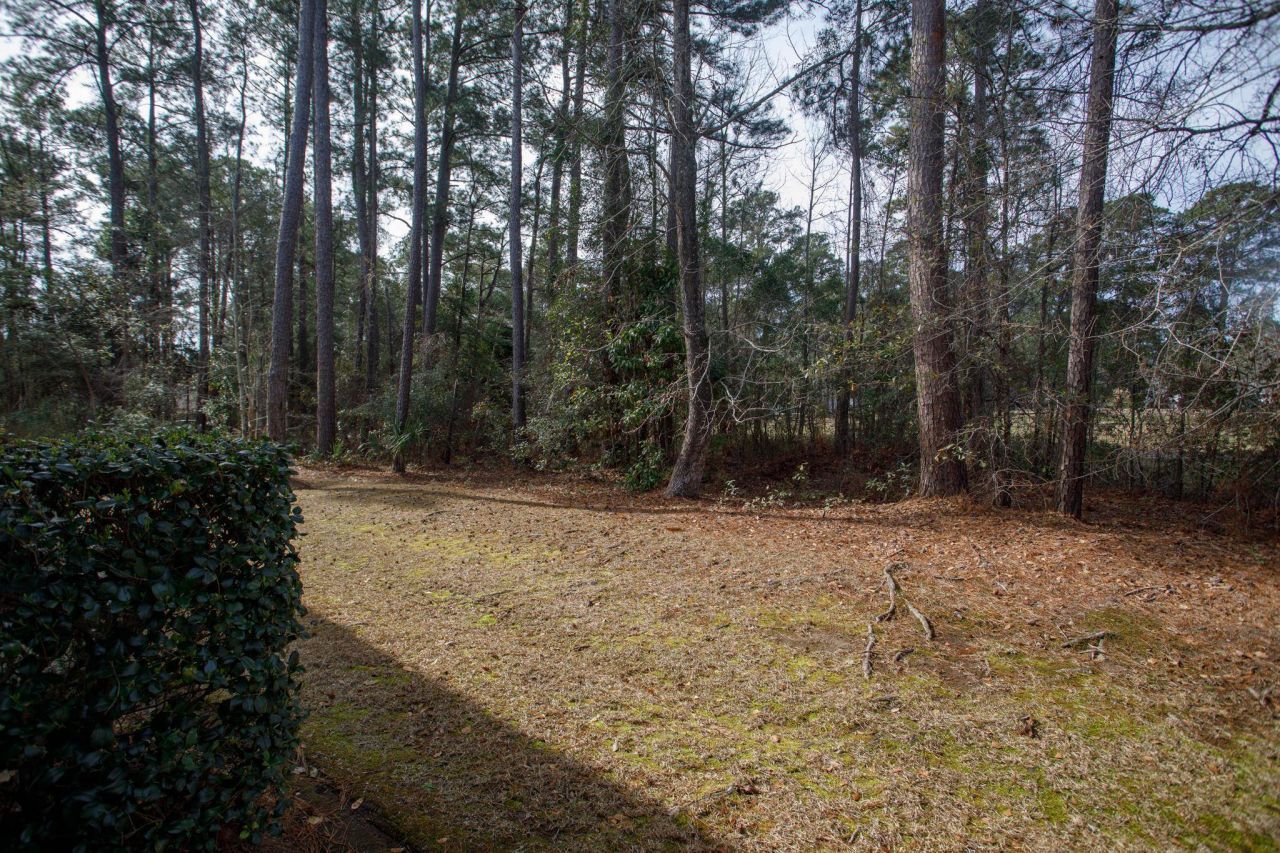 160 Lazy Willow Ln. Photo 35