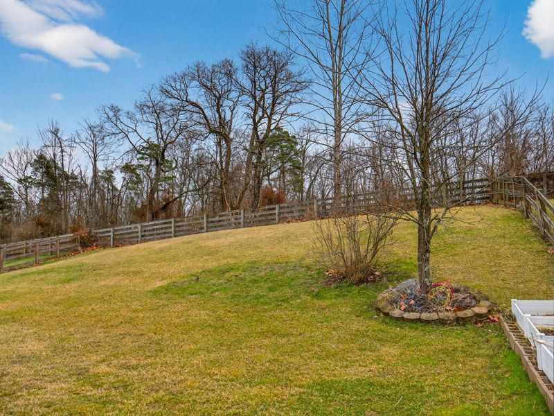 2187 Bluegrama Drive, Burlington, KY 41005 Photo 40