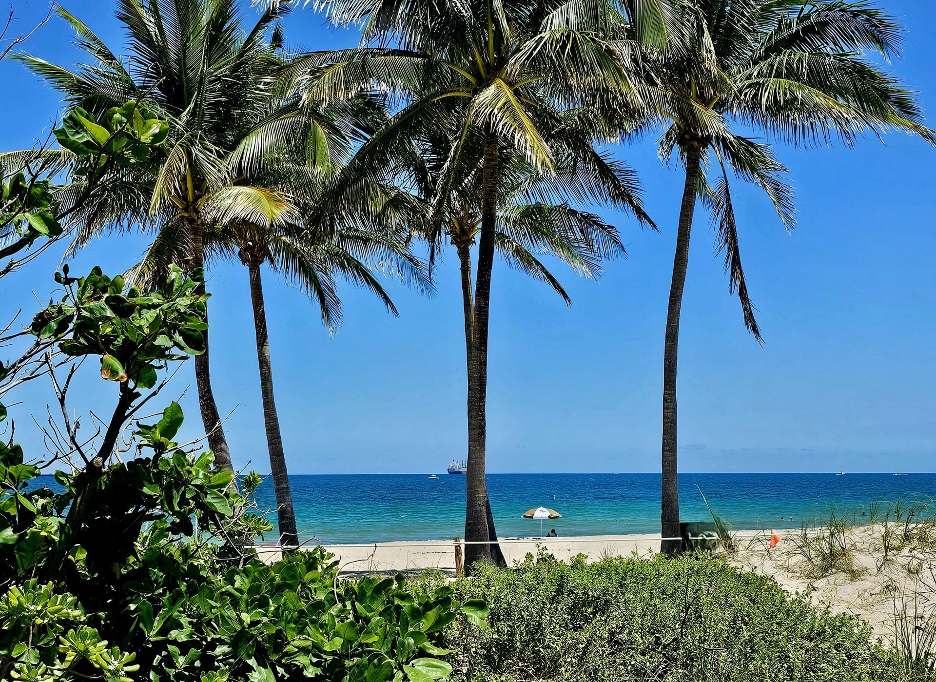 1332 Bayview Drive, Unit 402, Fort Lauderdale, FL 33304 Photo