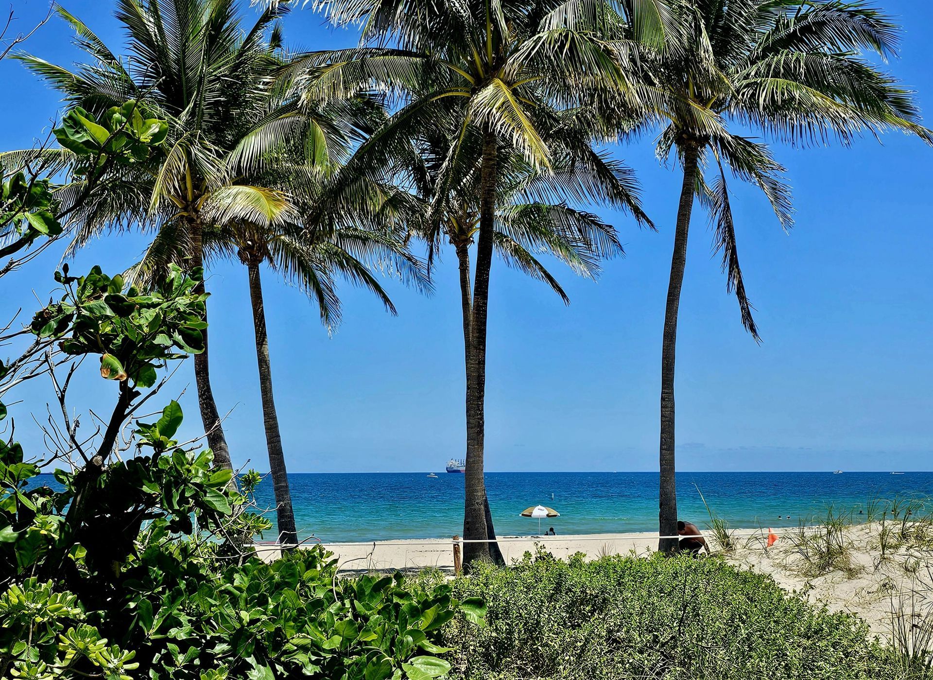 1332 Bayview Drive, Unit 402, Fort Lauderdale, FL 33304 Photo