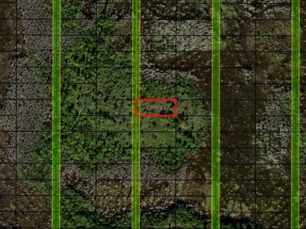 0 Old Grade Rd, Polk City, FL 33868