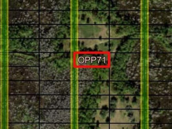 0 Old Grade Rd, Polk City, FL 33868