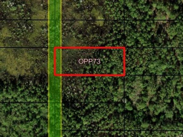 0 Old Grade Rd, Polk City, FL 33868