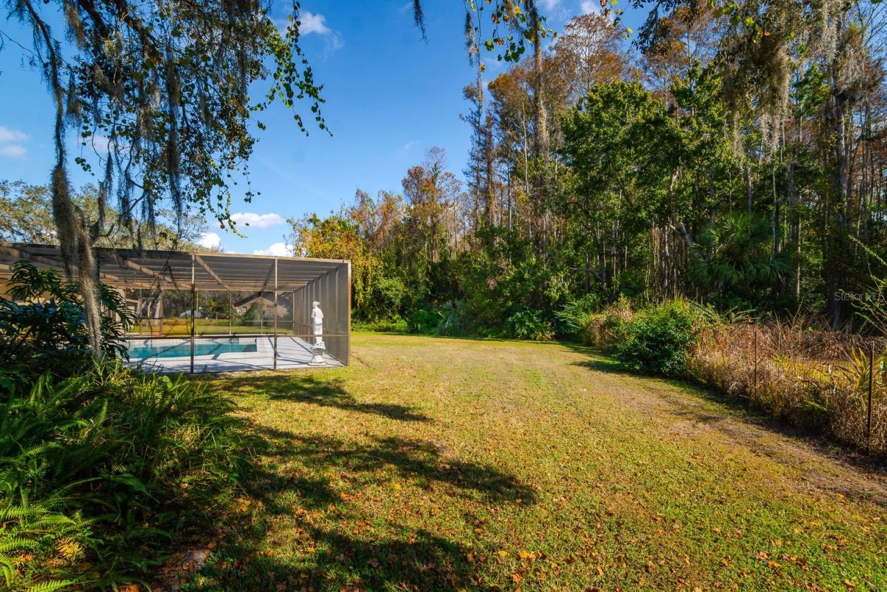 10206 Lakeview Drive , New Port Richey, FL 34654 Photo