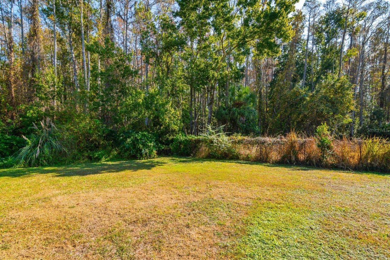 10206 Lakeview Drive , New Port Richey, FL 34654 Photo