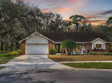 346 CARSON LANE , PALM HARBOR, FL 34684