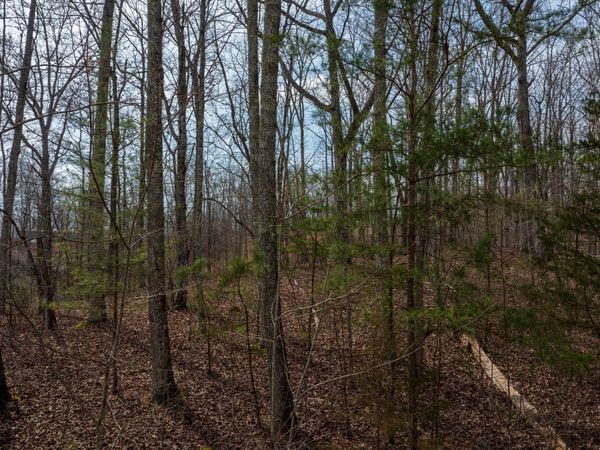0 Paint Rock Valley off Road, Philadelphia, TN 37846