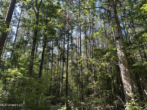 Easy Street, Brandon, MS 39042