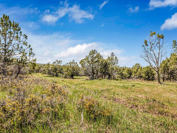 53873 IE 3/4 Road, Mesa, CO 81643