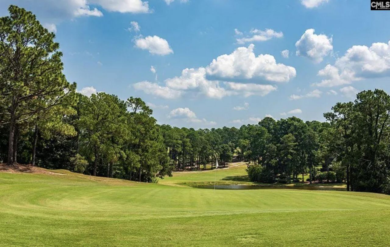 105 Wildewood Club Court Photo 29