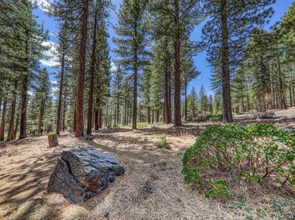 10576 Brickell Court, Truckee, CA 96161 Photo