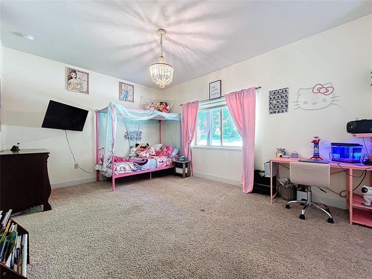 16224 Iola Woods Trail , Dade City, FL 33523 Photo