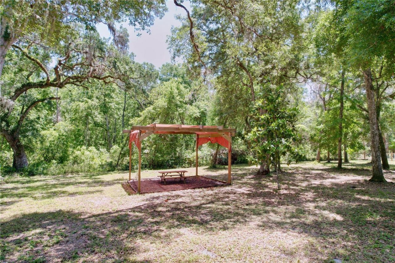 16224 Iola Woods Trail , Dade City, FL 33523 Photo