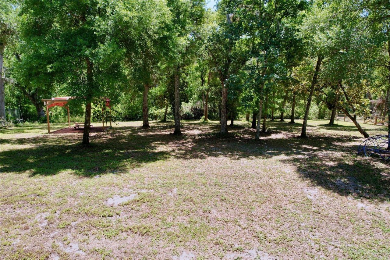 16224 Iola Woods Trail , Dade City, FL 33523 Photo