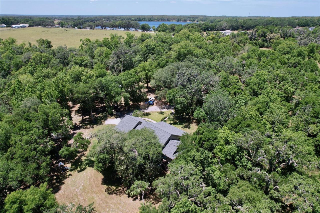 16224 Iola Woods Trail , Dade City, FL 33523 Photo