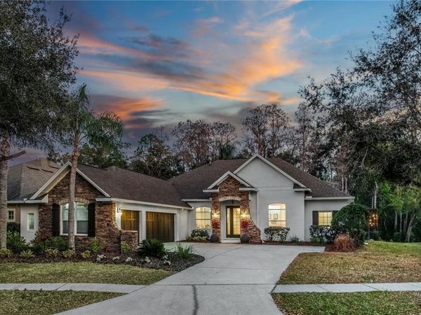 12116 SAN CHALIFORD COURT, TAMPA, FL 33626