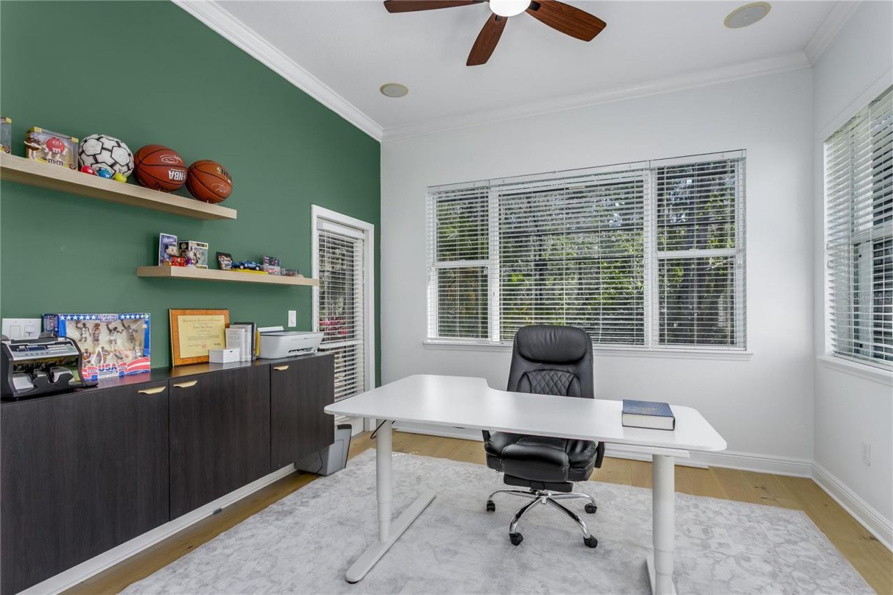 12116 San Chaliford Court, Tampa, FL 33626 Photo