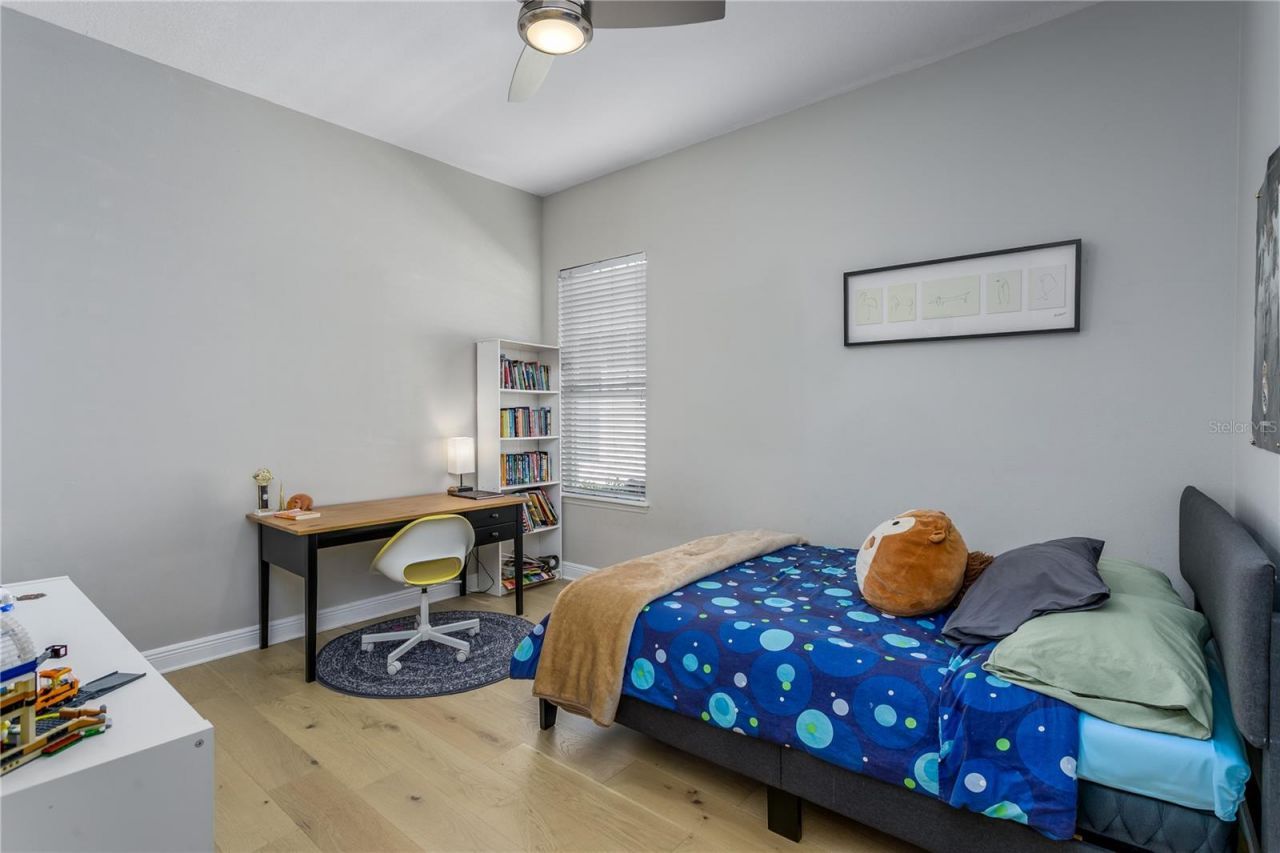 12116 San Chaliford Court, Tampa, FL 33626 Photo