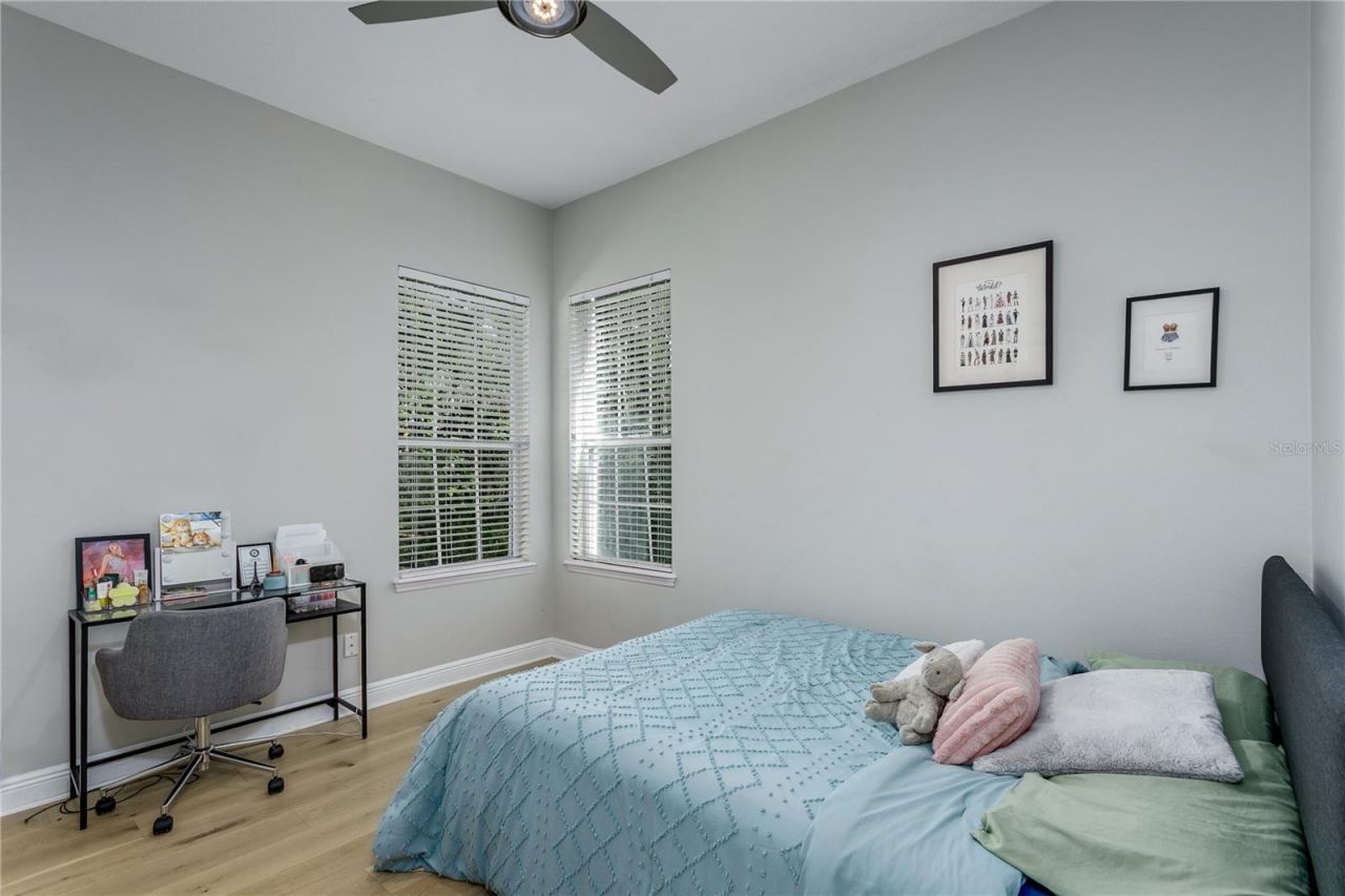 12116 San Chaliford Court, Tampa, FL 33626 Photo