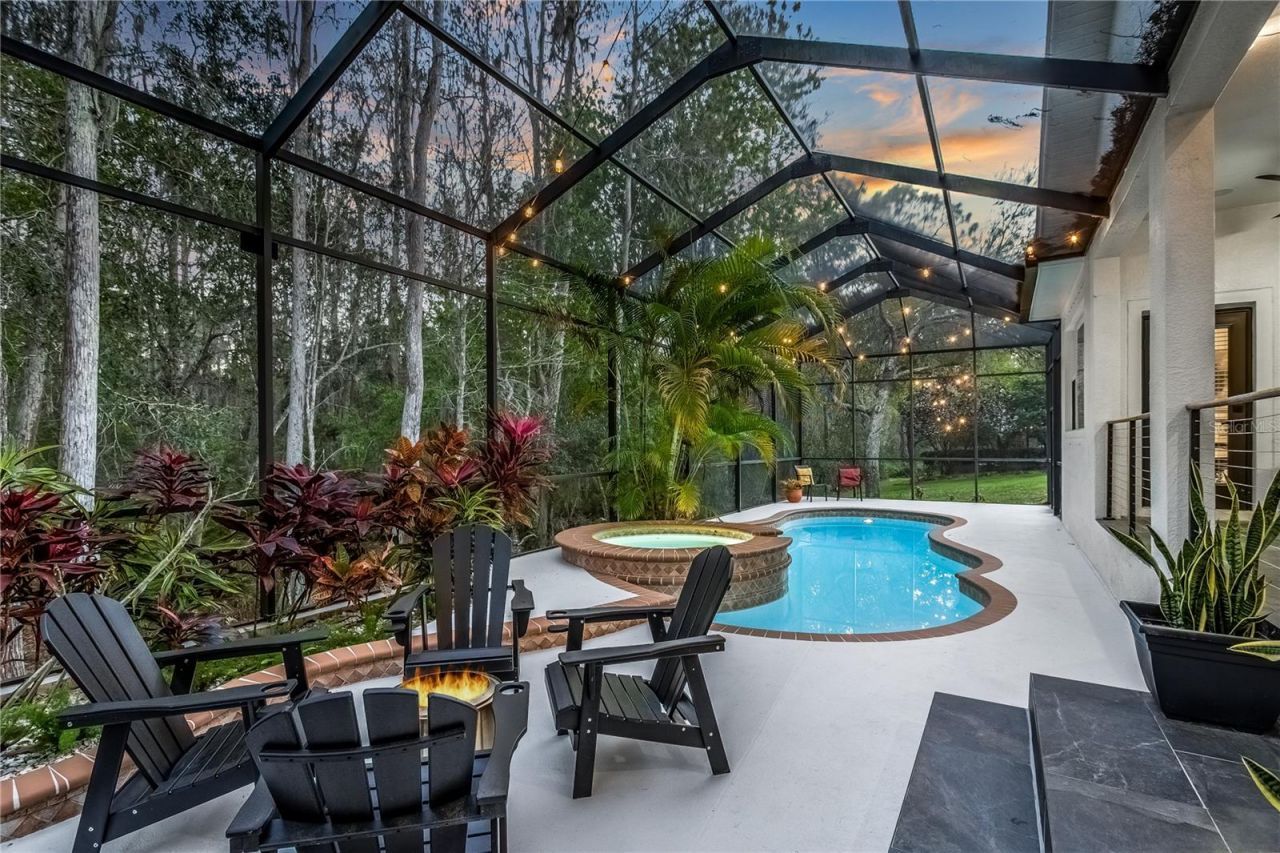 12116 San Chaliford Court, Tampa, FL 33626 Photo