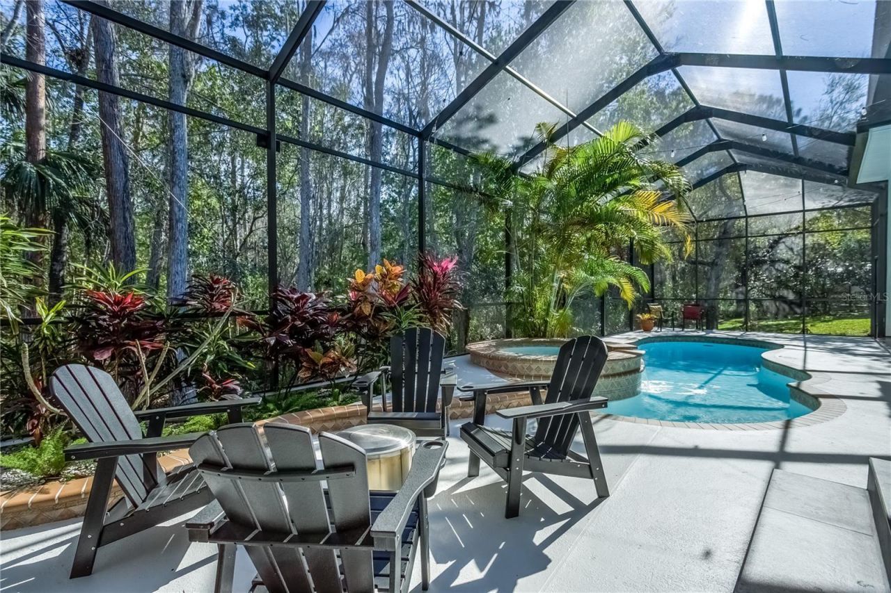 12116 San Chaliford Court, Tampa, FL 33626 Photo