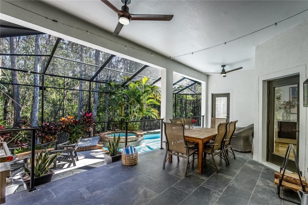 12116 San Chaliford Court, Tampa, FL 33626 Photo