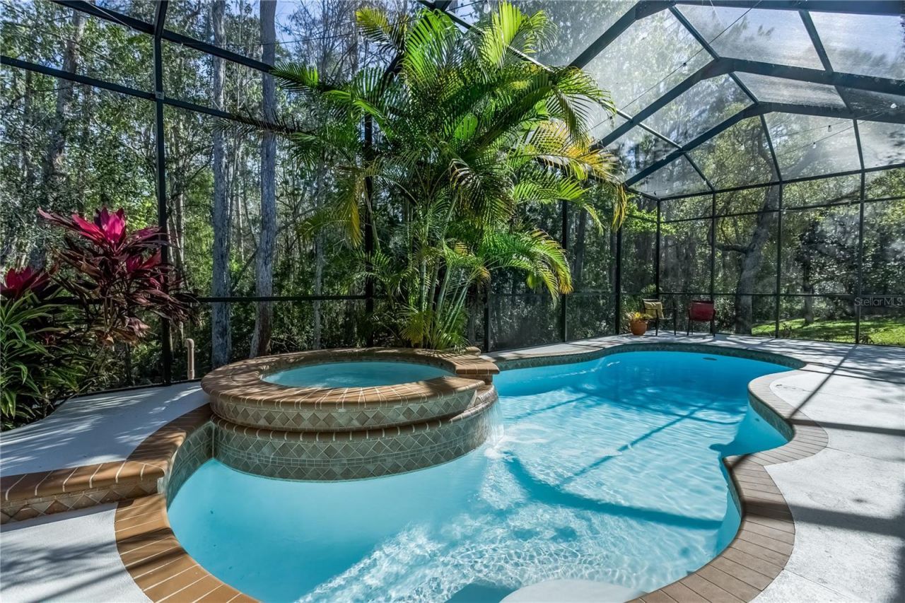 12116 San Chaliford Court, Tampa, FL 33626 Photo