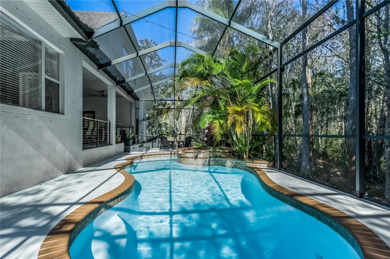 12116 San Chaliford Court, Tampa, FL 33626 Photo