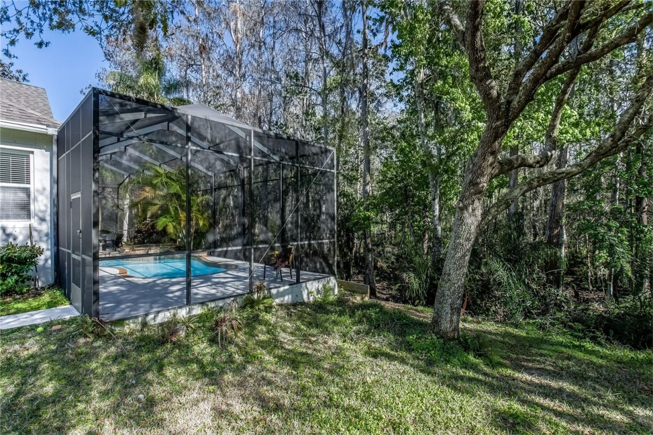 12116 San Chaliford Court, Tampa, FL 33626 Photo