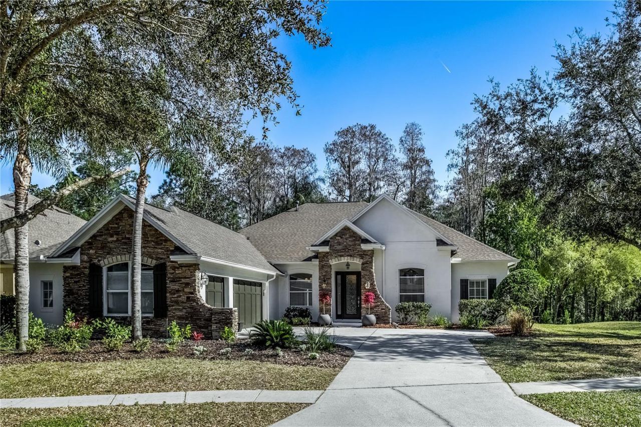 12116 San Chaliford Court, Tampa, FL 33626 Photo