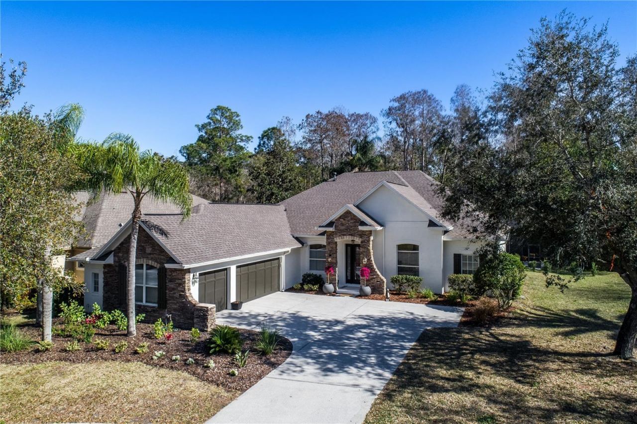 12116 San Chaliford Court, Tampa, FL 33626 Photo