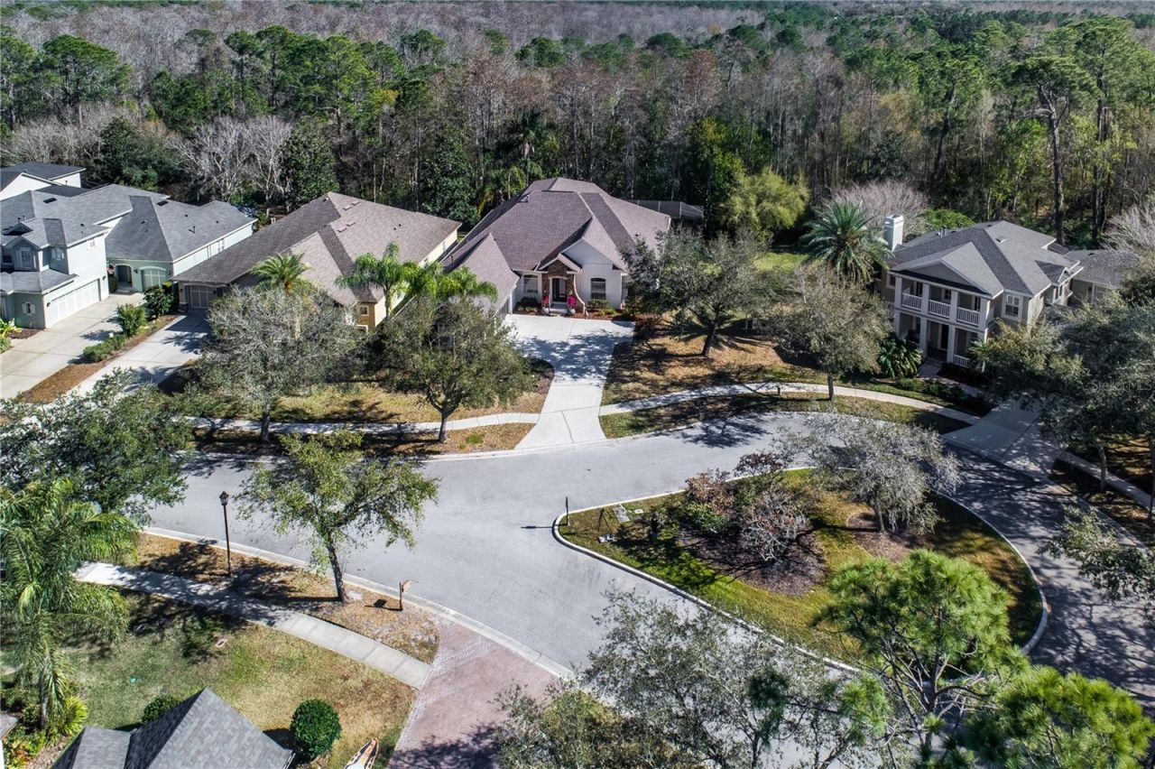 12116 San Chaliford Court, Tampa, FL 33626 Photo