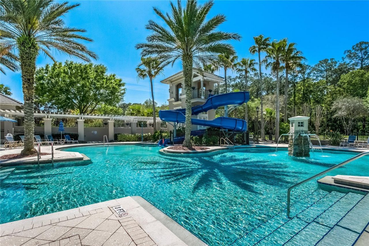 12116 San Chaliford Court, Tampa, FL 33626 Photo