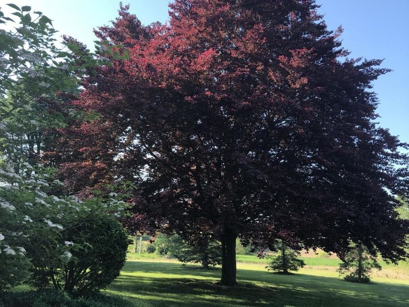 736 Arlington Road, Bellefontaine, OH 43311 Photo 80