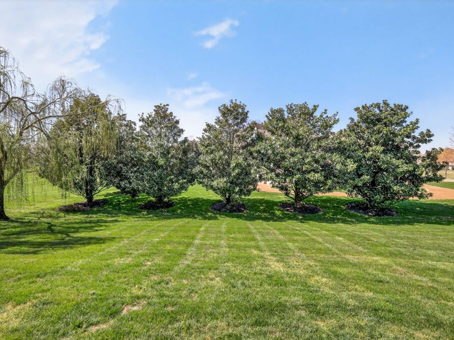Property Image 68