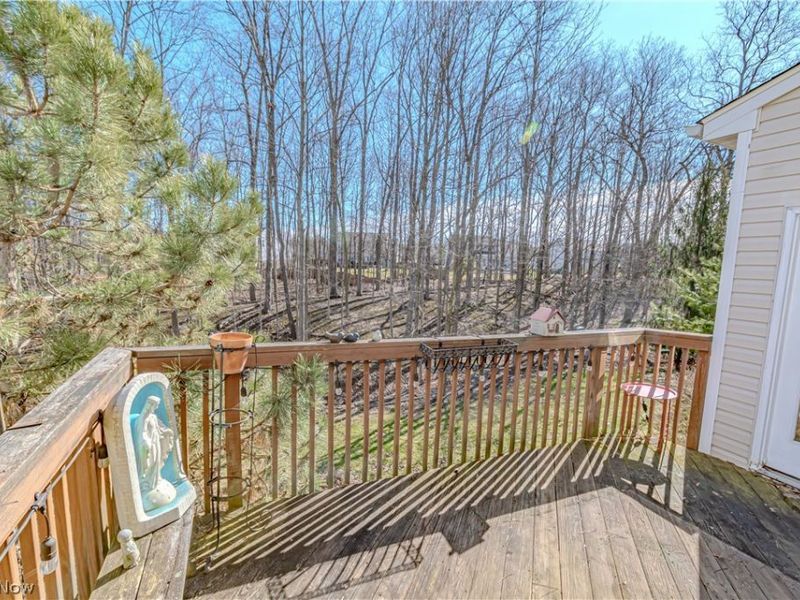 5171 Crown Pointe Drive , Medina, OH 44256 Photo 6