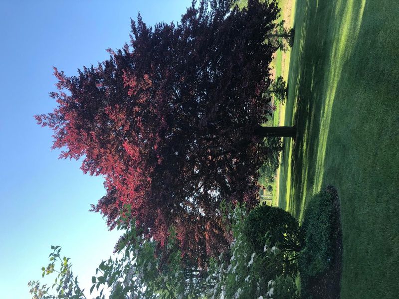 736 Arlington Road , Bellefontaine, OH 43311 Photo 80