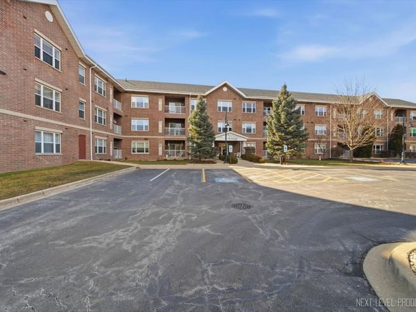 10 N Gilbert Street , Unit 217, South Elgin, IL 60177