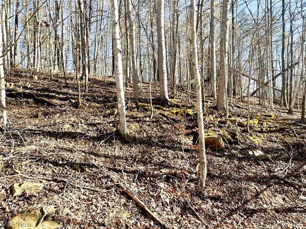 Rd 34 , Ripley, WV 25271