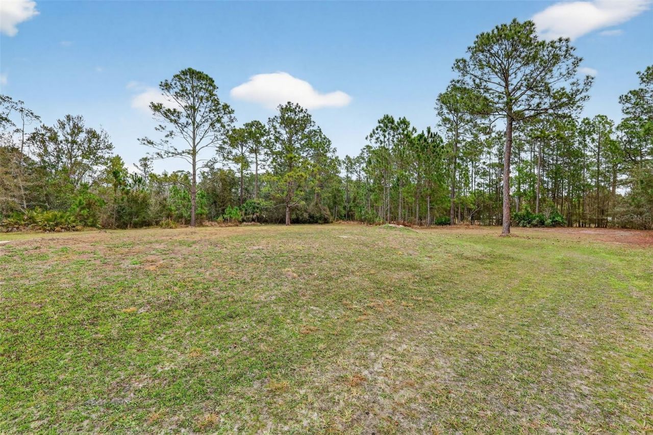 1475 Clark Bay Road, Deland, FL 32720 Photo