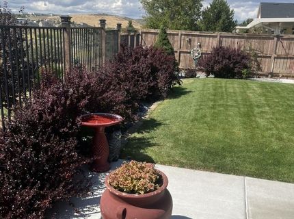 7367 Rutherford Drive, Reno, NV 89506 Photo