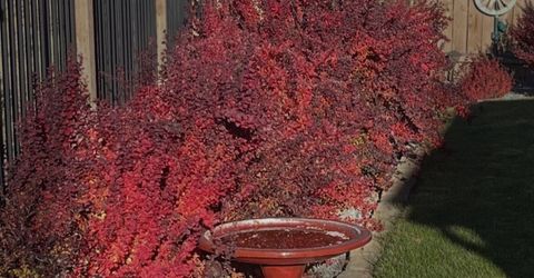 7367 Rutherford Drive, Reno, NV 89506 Photo