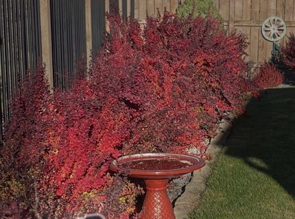 7367 Rutherford Drive, Reno, NV 89506 Photo