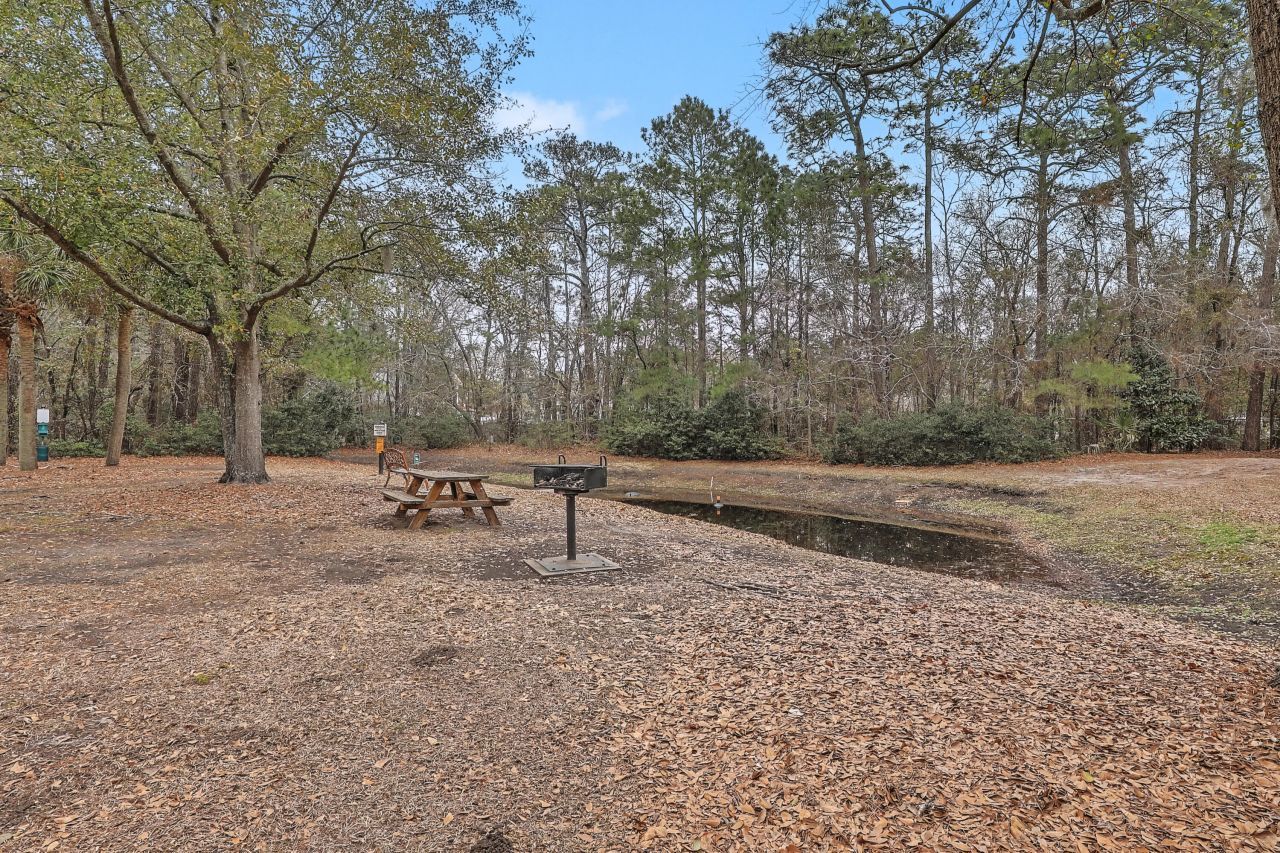 2011 N Highway 17 Photo 30