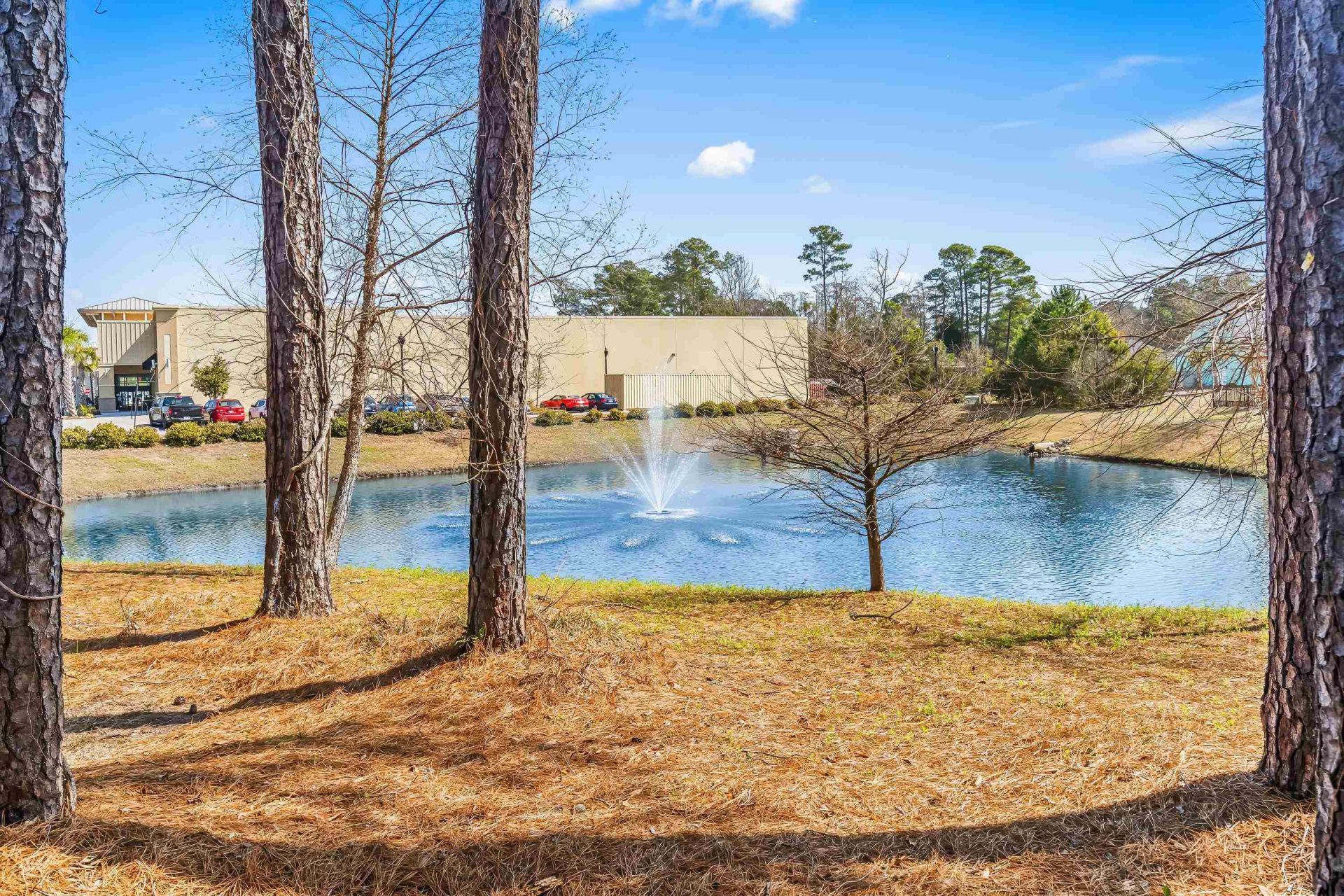 23 Shadow Moss Pl. Photo 30