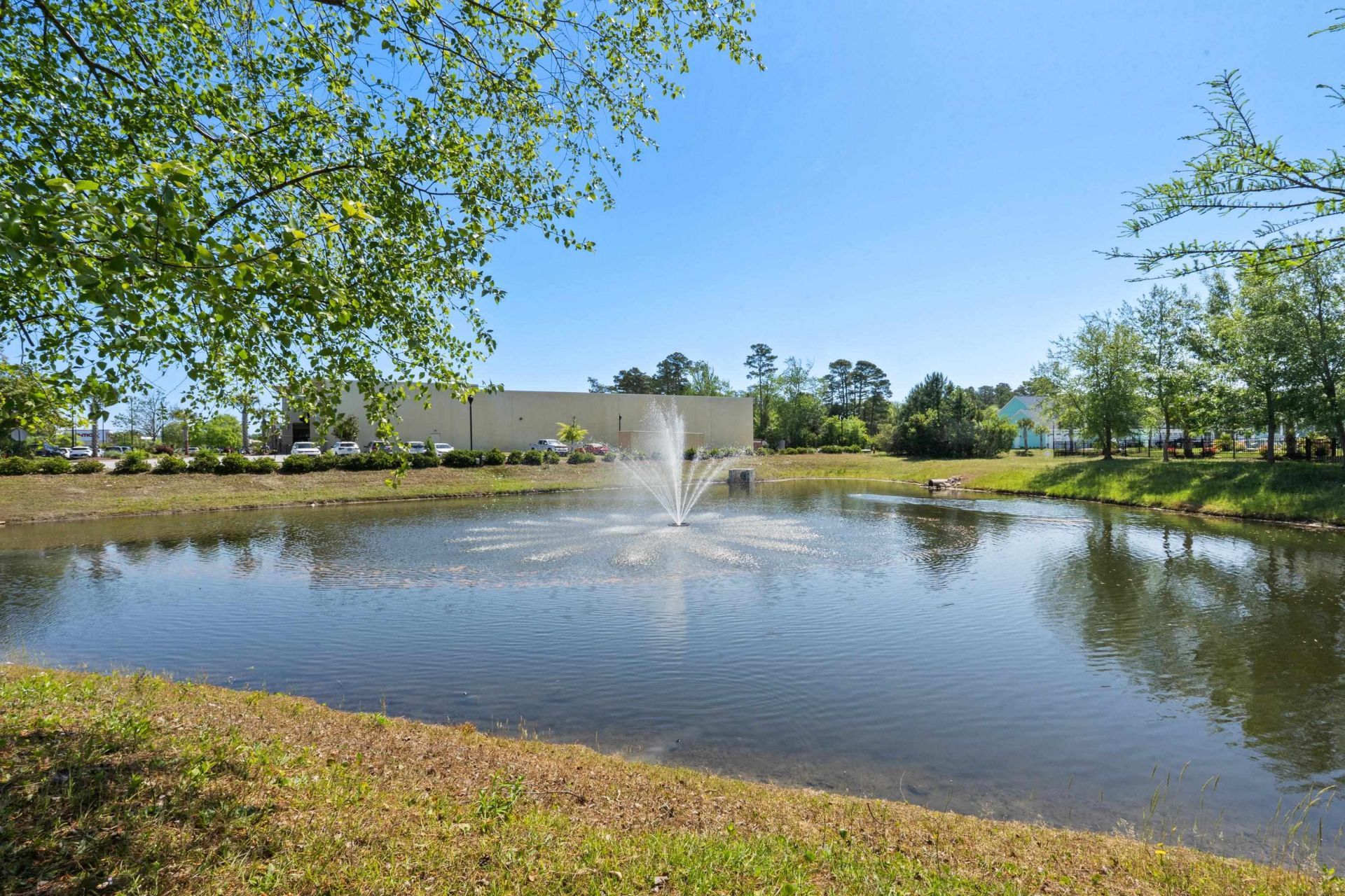 23 Shadow Moss Pl. Photo 32