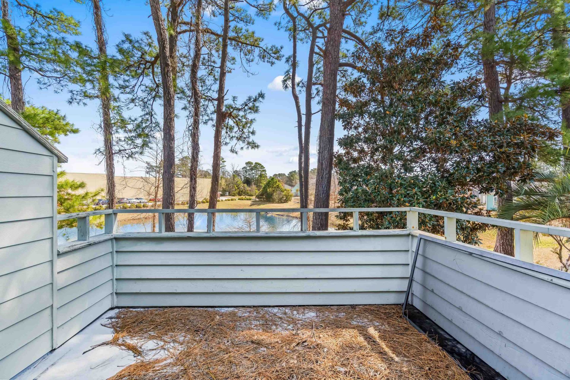 23 Shadow Moss Pl. Photo 35