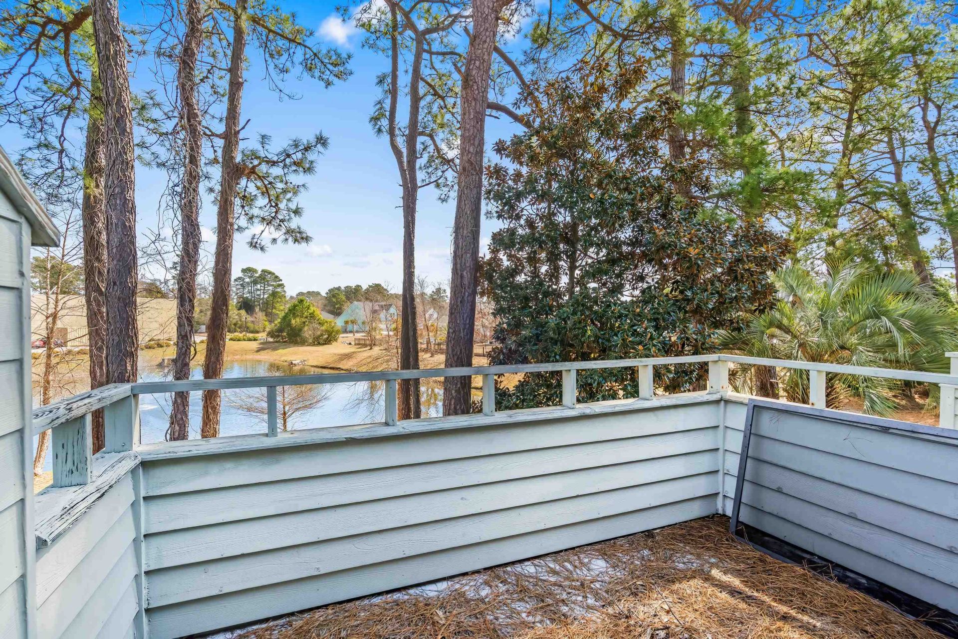 23 Shadow Moss Pl. Photo 37