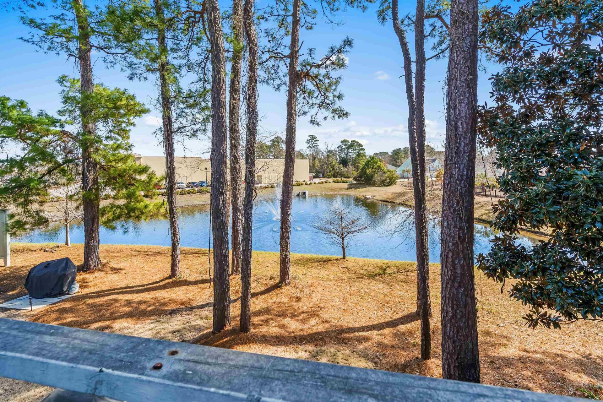 23 Shadow Moss Pl. Photo 38