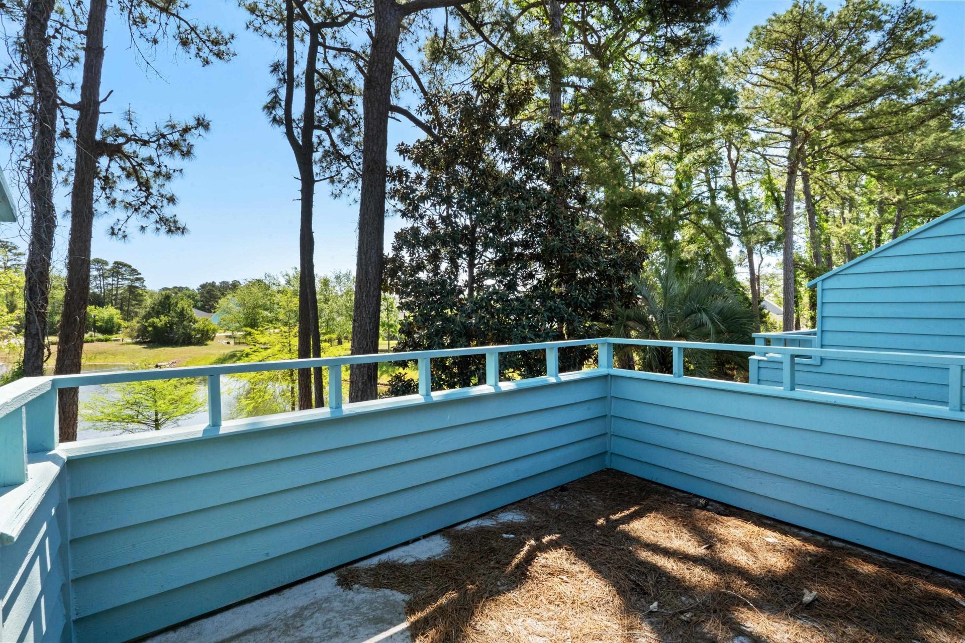 23 Shadow Moss Pl. Photo 40
